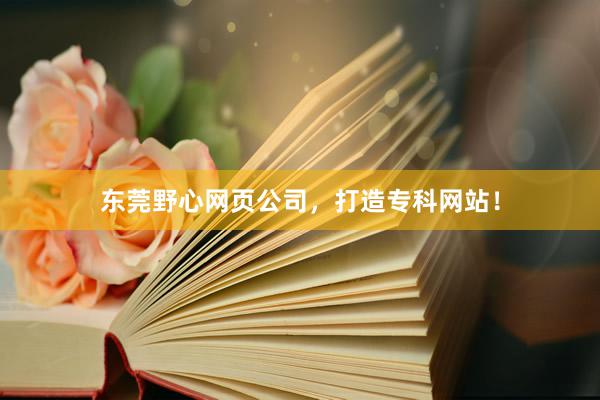 东莞野心网页公司，打造专科网站！