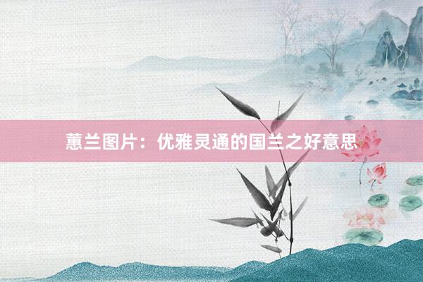 蕙兰图片：优雅灵通的国兰之好意思