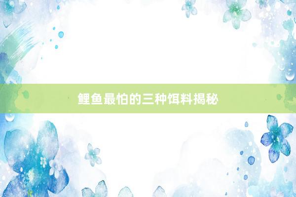 鲤鱼最怕的三种饵料揭秘