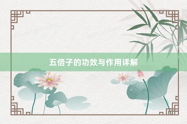 五倍子的功效与作用详解