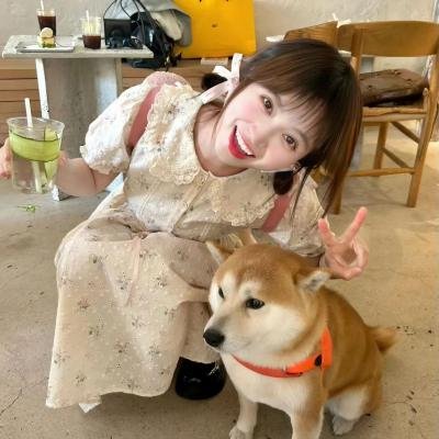 恋爱选举与巧克力